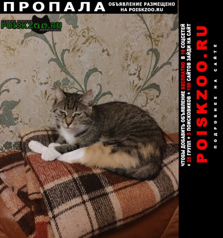 60 доска бесплатных объявлений