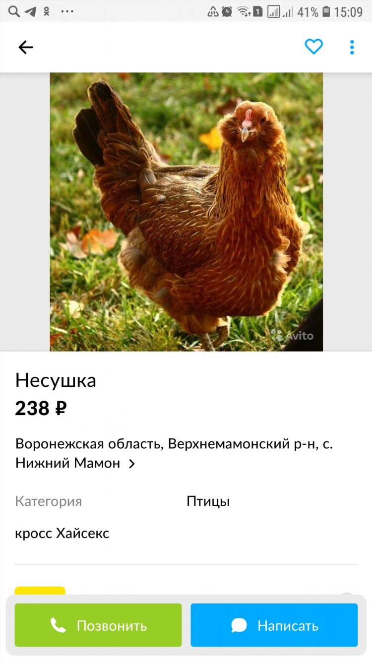 Авито алексеевка волгоградская область доска бесплатных объявлений