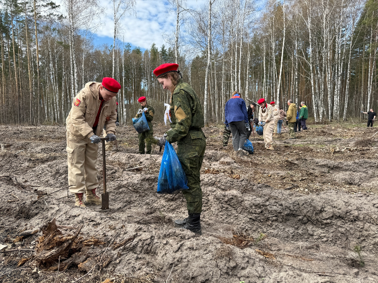 Авито мичуринск тамбовская область все объявления бесплатно