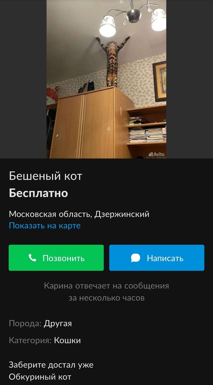 Авито тамбовская область объявления бесплатные