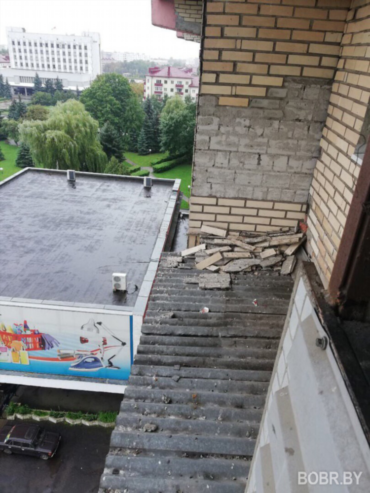 Бобр бай объявления