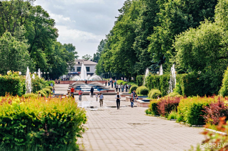 Бобр бу бобруйск объявления