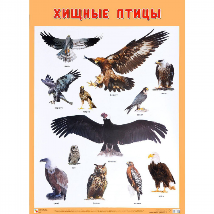 Доска объявлений беркат республика ингушетия