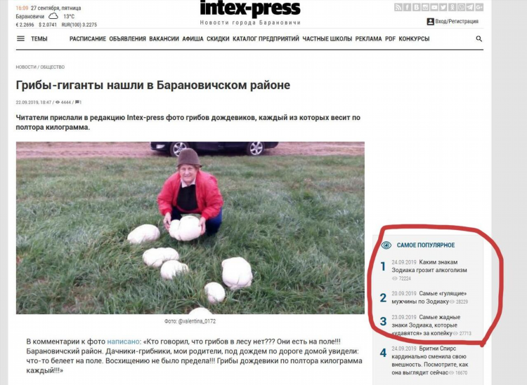 Интекс пресс барановичи частные объявления