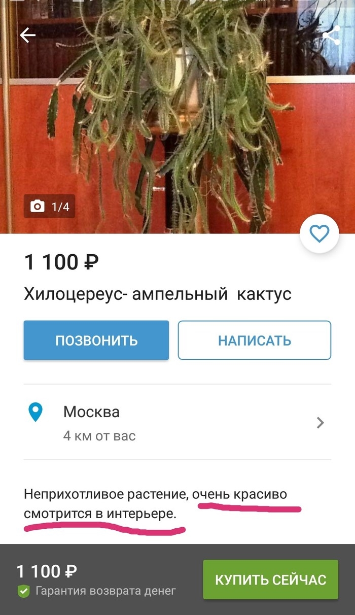 Юла объявления находка