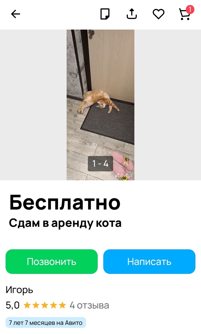 Как найти смешные объявления на авито