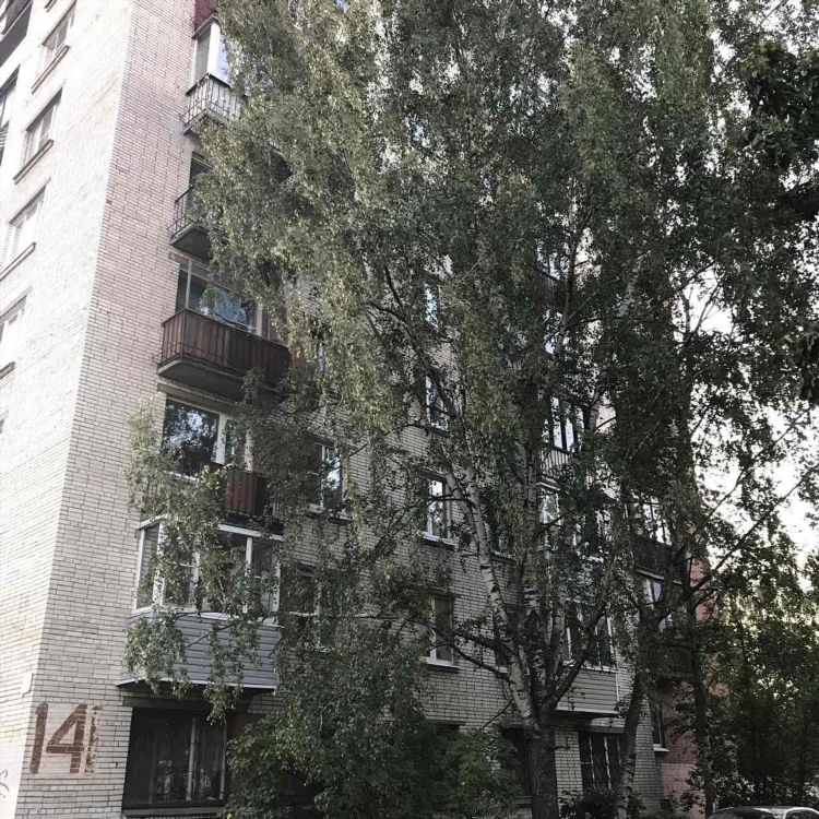 Колпино сити доска объявлений