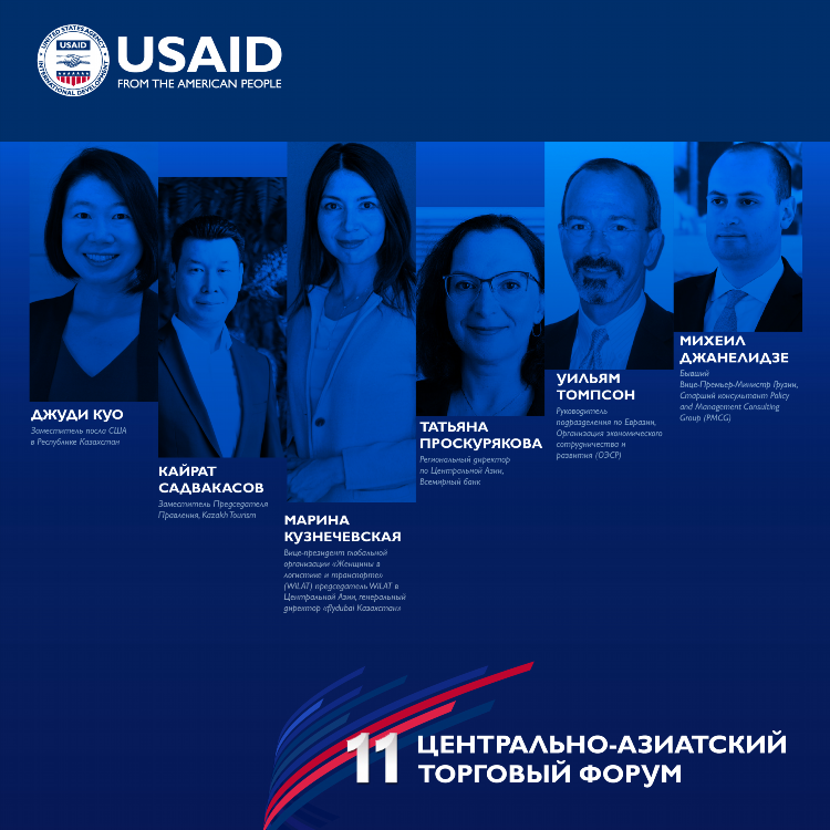 Объявление дипломата частным лицом это