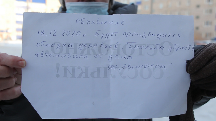 Объявление спил деревьев