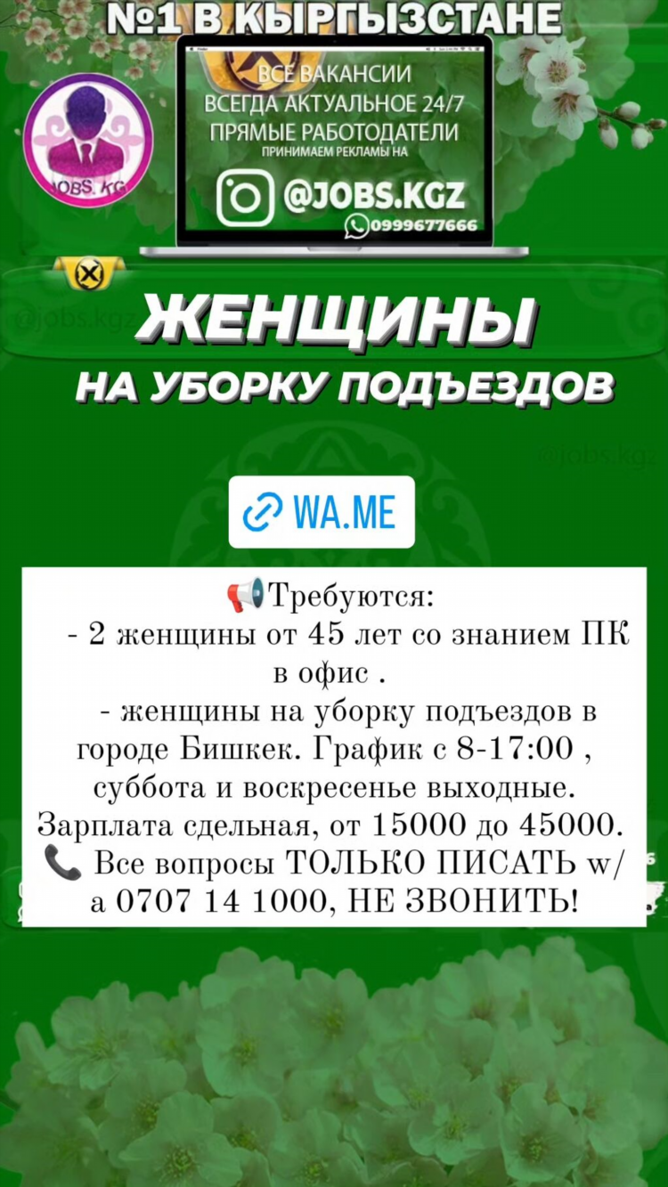 Объявление требуется уборщица шаблон