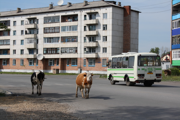 Объявления асино