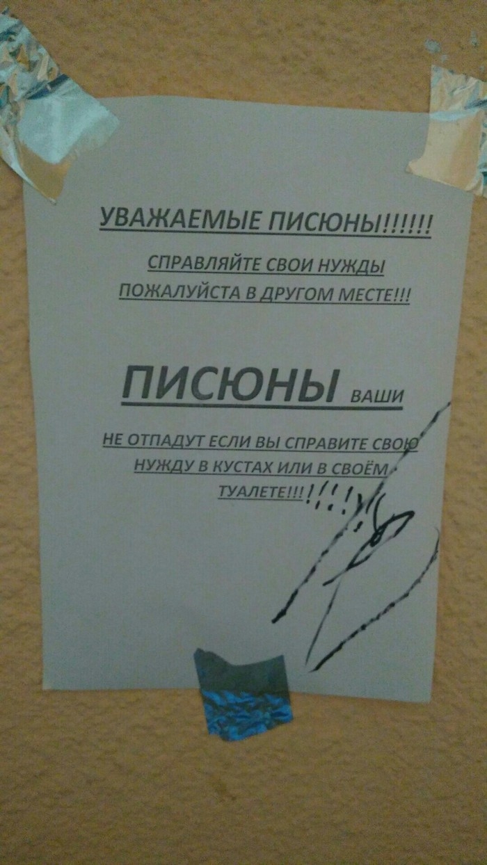Объявления тверь