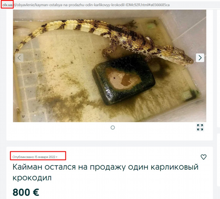 Olx украина доска объявлений