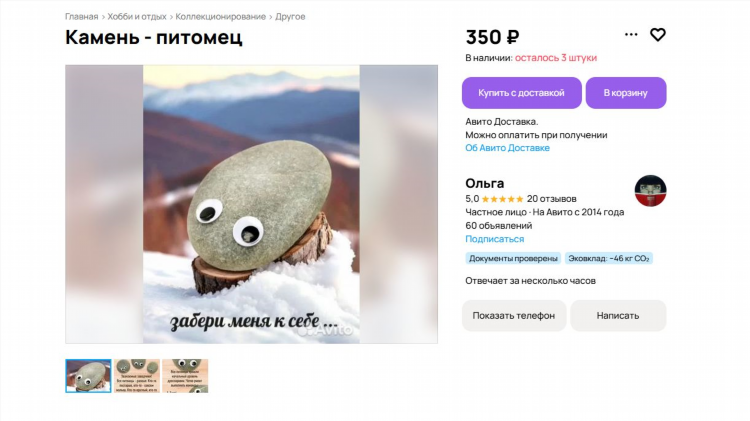 Питомцы доска объявлений