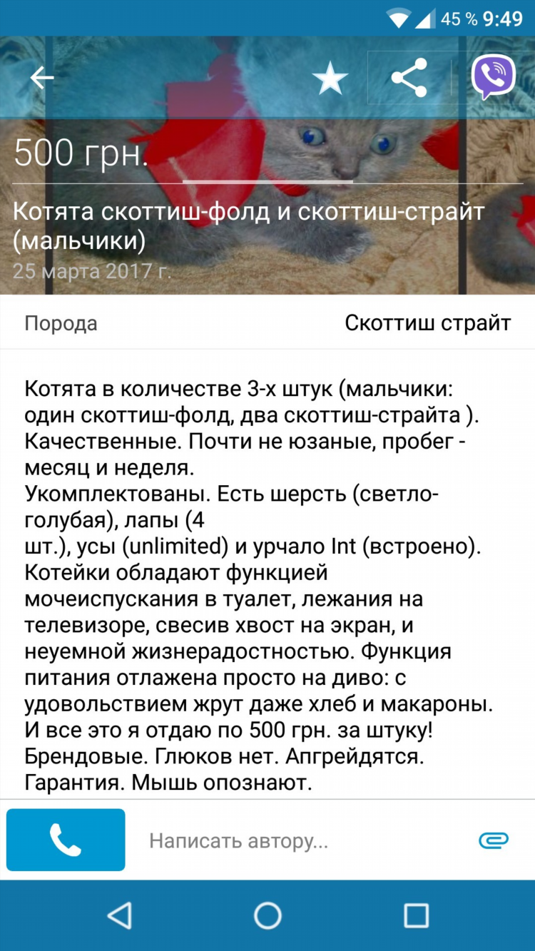 Продать котят дать объявление