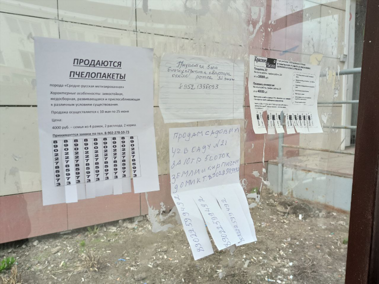 Расклейщик объявлений вакансии
