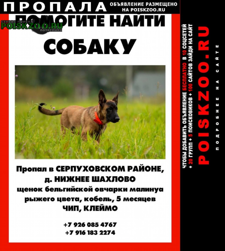 Серпухов доска объявлений