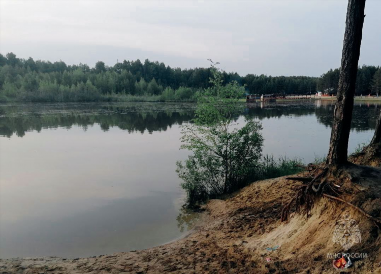 Сладковский район тюменской области доска объявлений